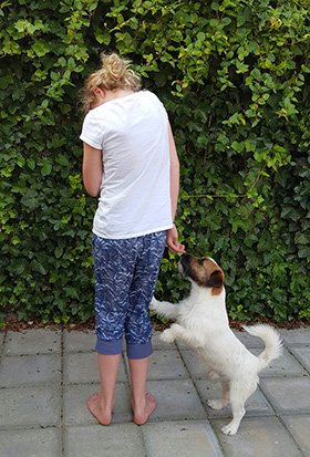 enkel en alleen schoolbord Riet Angst voor honden - Doggo.nl