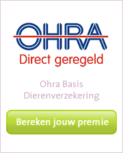 Huisdierenverzekering De Beste Zorg Voor Je Hond Of Kat Ohra