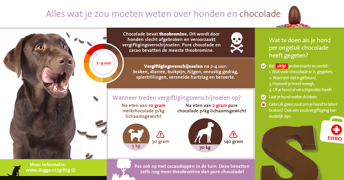 Niet alleen is giftig voor honden - Doggo.nl