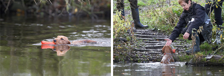 Waterapport waterwerk